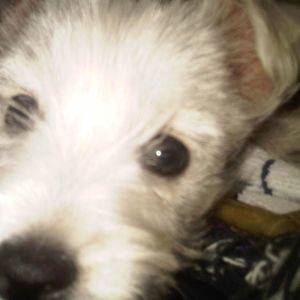 Meet your Posher, Jane